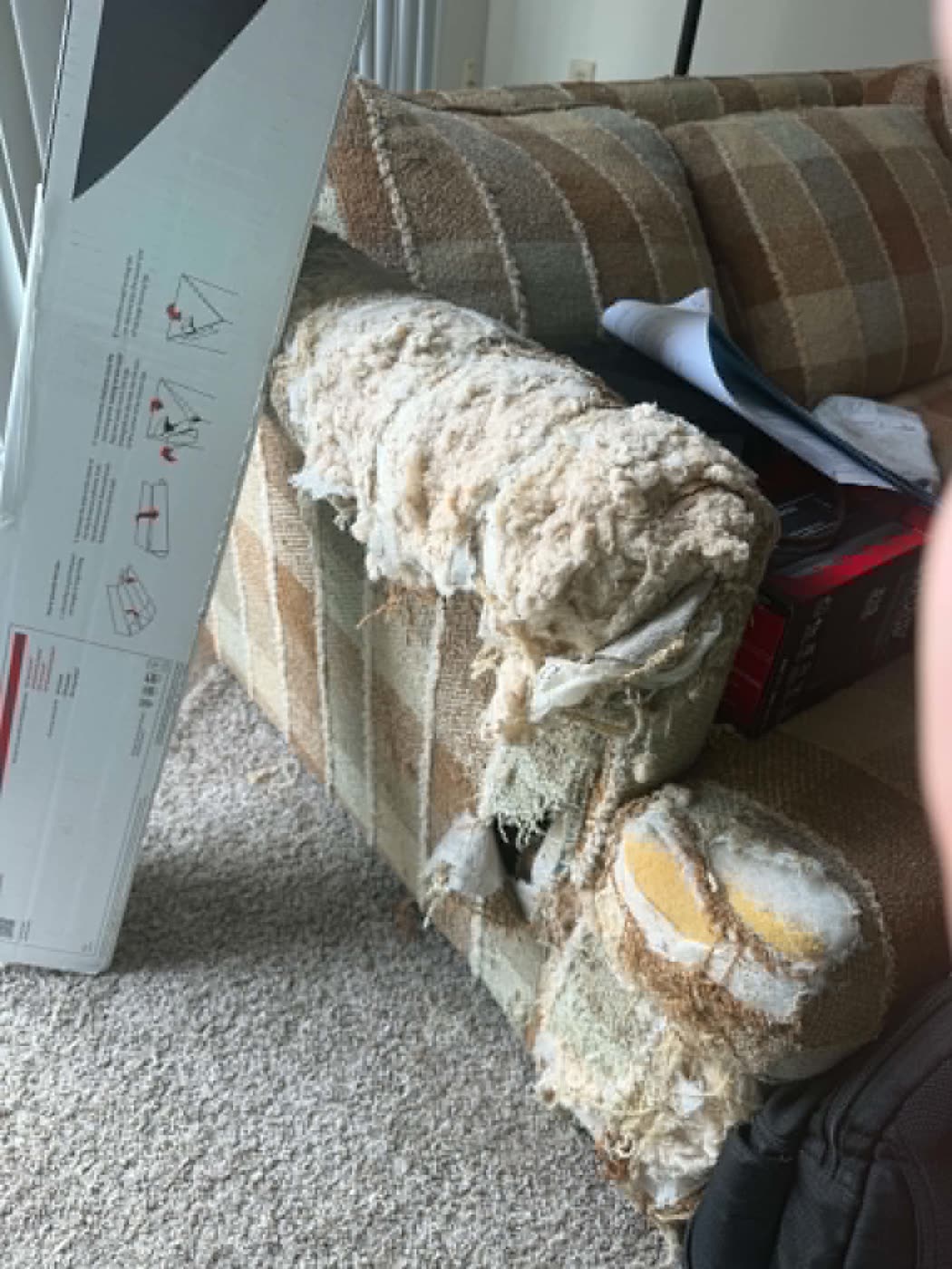 The couch, in its current condition