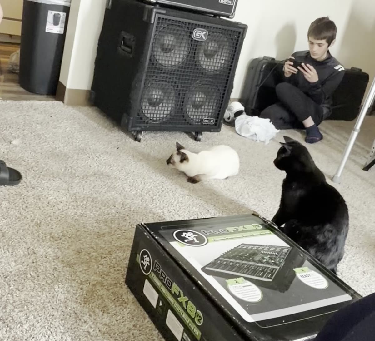 Liam seated on the floor against the speaker cabinet on a handheld device while Bean and Atticus sit in front of him beside a large box