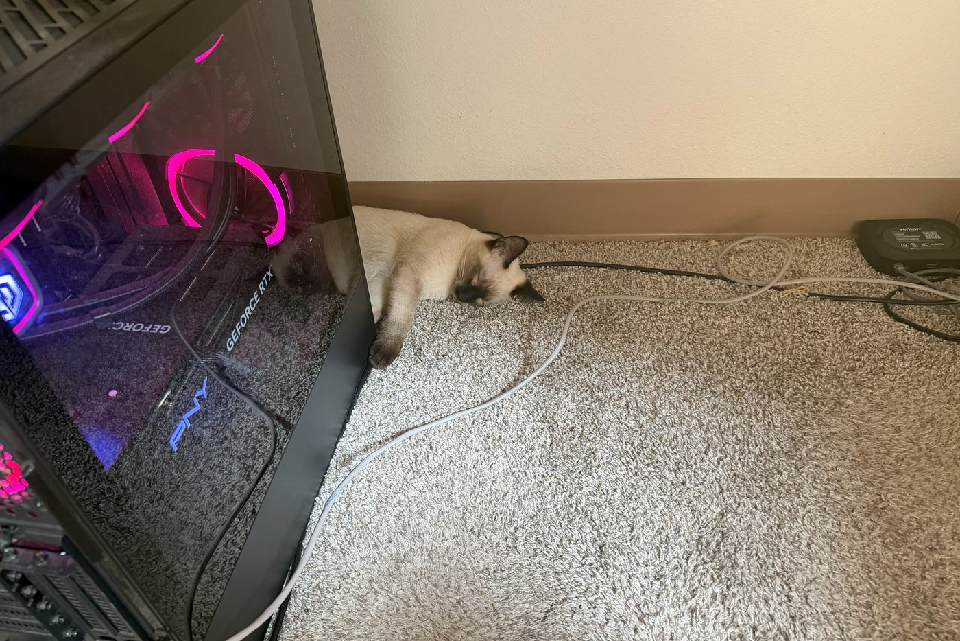 A wide view of the gaming PC with pink internal lighting and Bean asleep on the carpet against its side